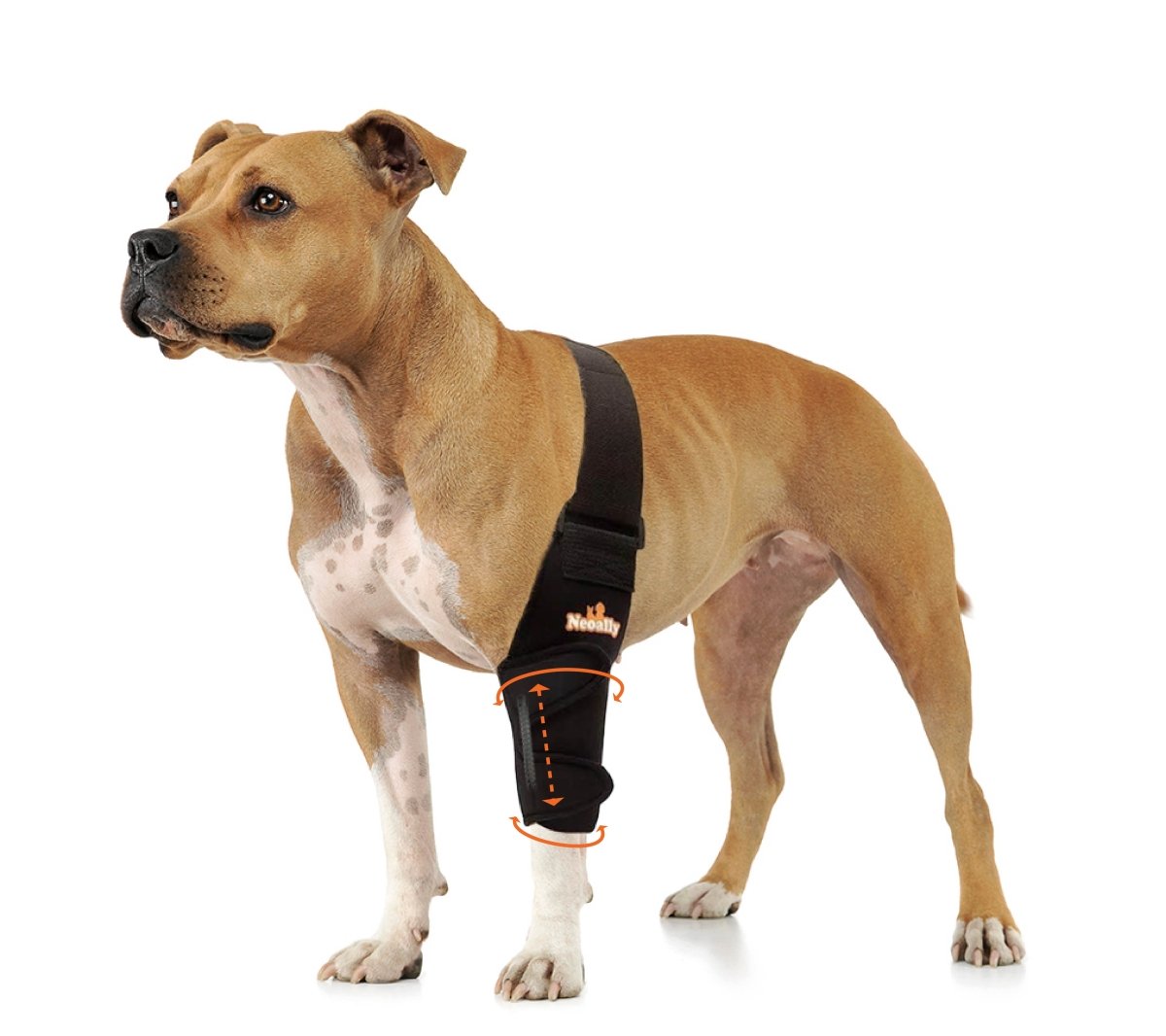 Codera y hombrera NeoAlly con resortes para perros y gatos - Mejora la movilidad de tu mascota con un soporte óptimo