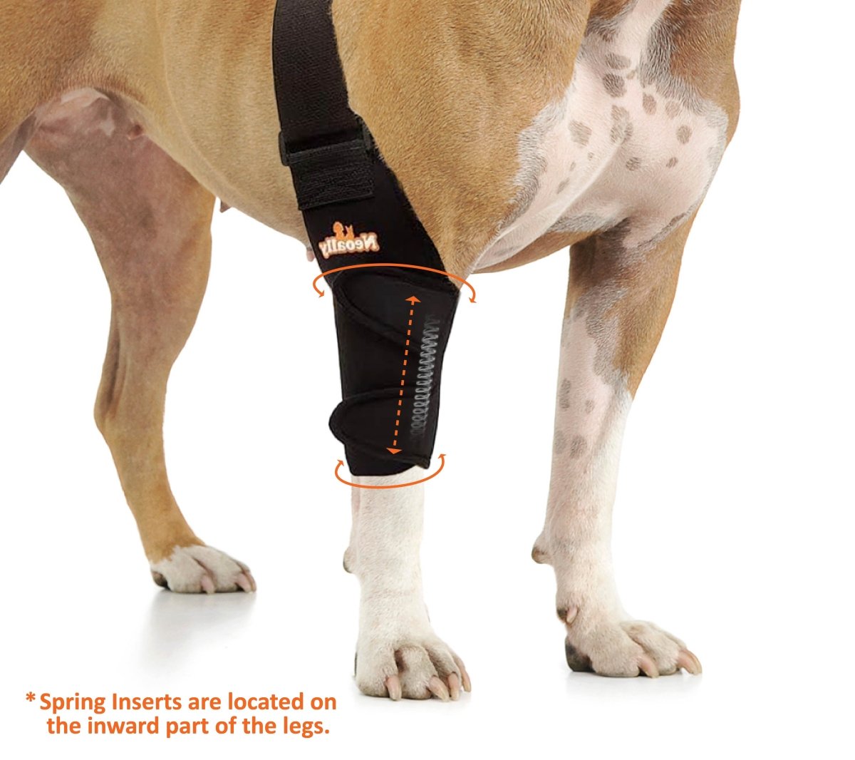 Codera y hombrera NeoAlly con resortes para perros y gatos - Mejora la movilidad de tu mascota con un soporte óptimo