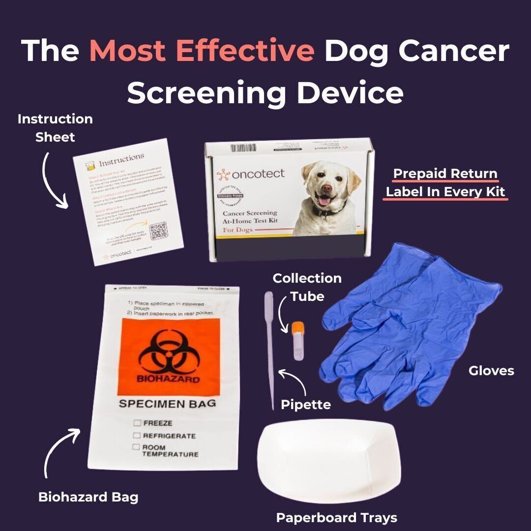 Kit de dépistage essentiel du cancer du chien à domicile Oncotect