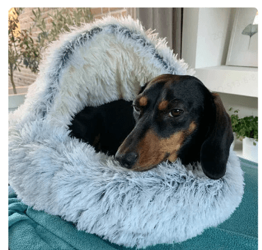 Cama para mascotas 2 en 1