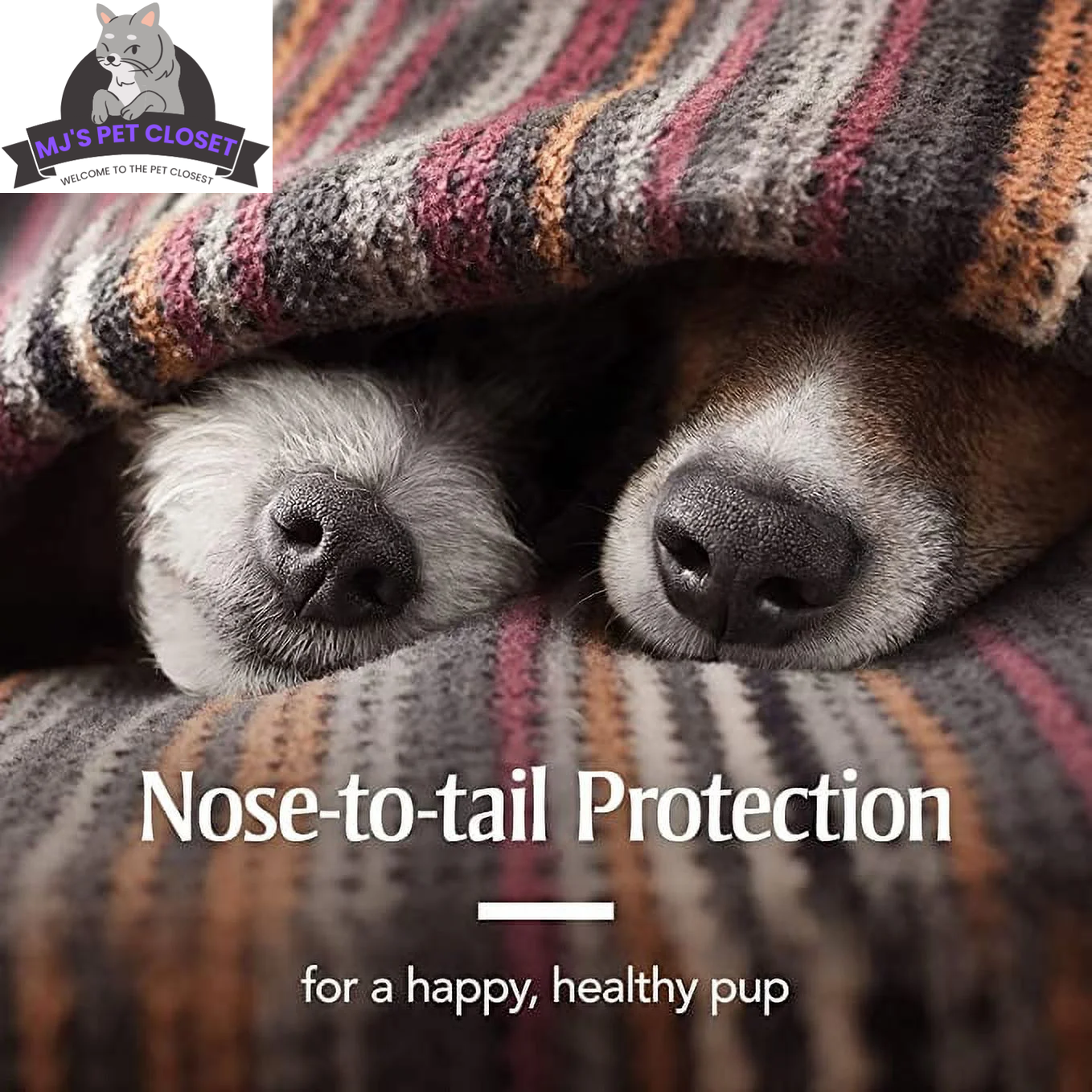Collier Anti-Puces et Anti-Tiques Ultime pour Chiens - Taille Unique, Efficace 6 Mois